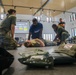 Exercise Cartwheel 2022, TCCC - Testing