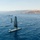 U.S. and Israel Complete Unmanned Exercise in Gulf of Aqaba