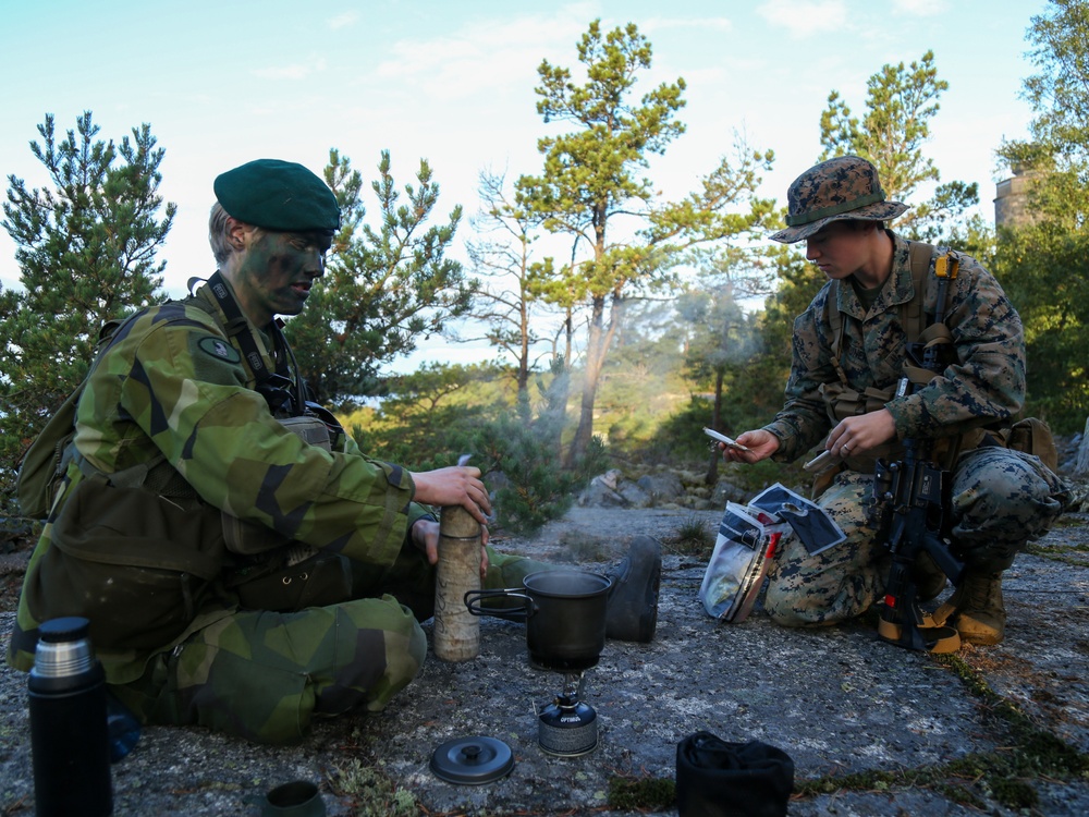 U.S. and Swedish Marines Conceal in the Archipelagos