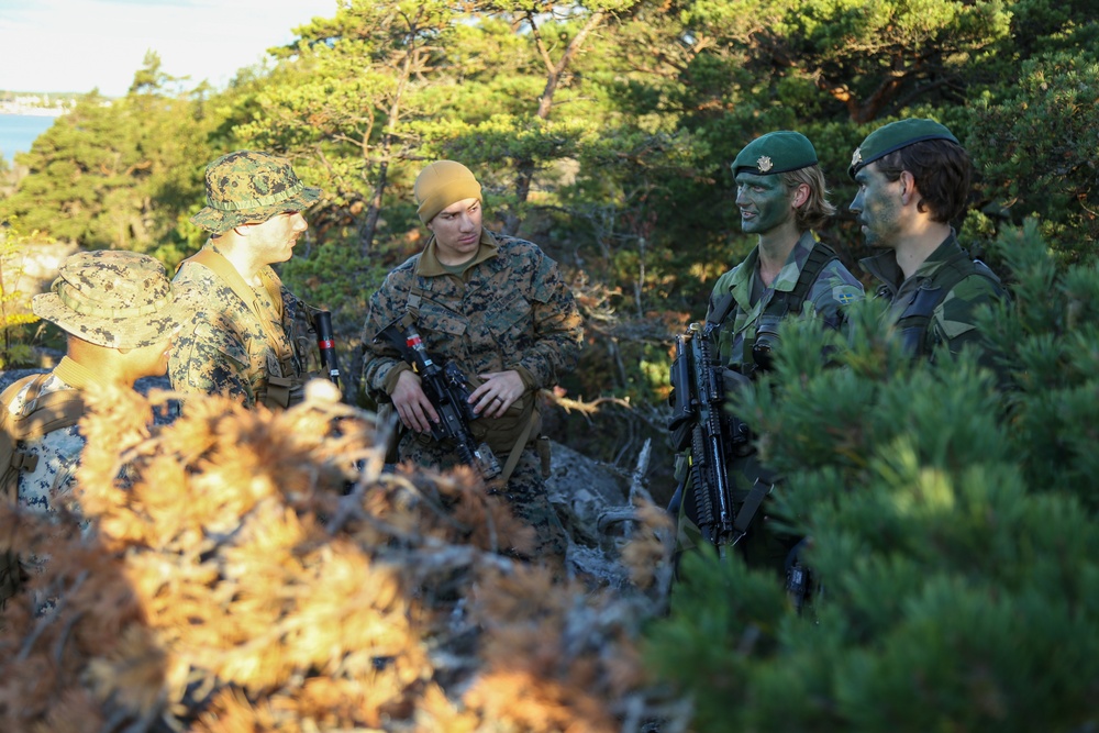 U.S. and Swedish Marines Conceal in the Archipelagos