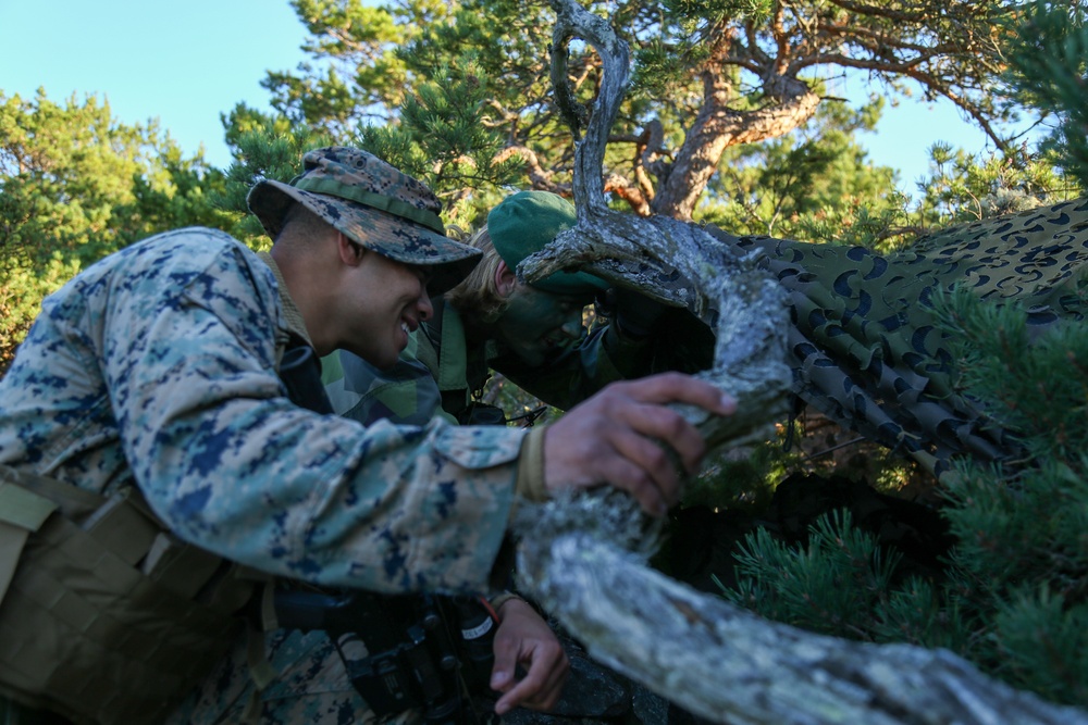 U.S. and Swedish Marines Conceal in the Archipelagos