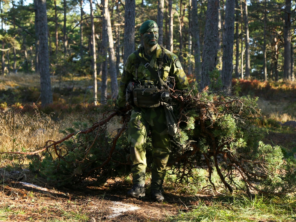 U.S. and Swedish Marines Conceal in the Archipelagos