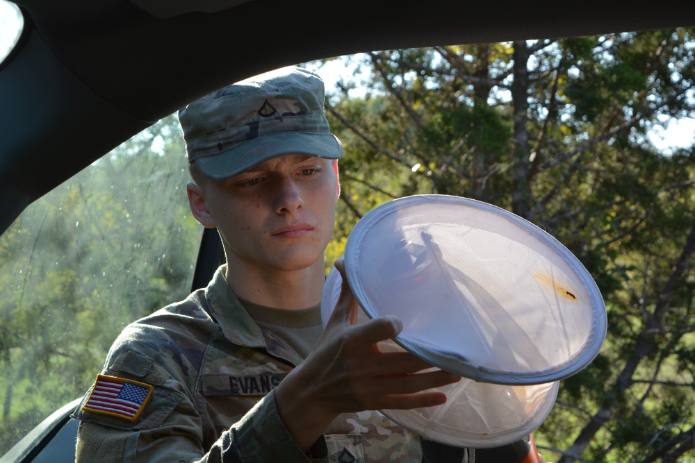Fort Hood Soldiers Monitor Mosquito Population