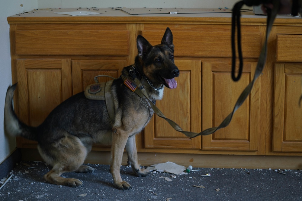 Creech and Nellis Security Forces Squadrons train with FBI