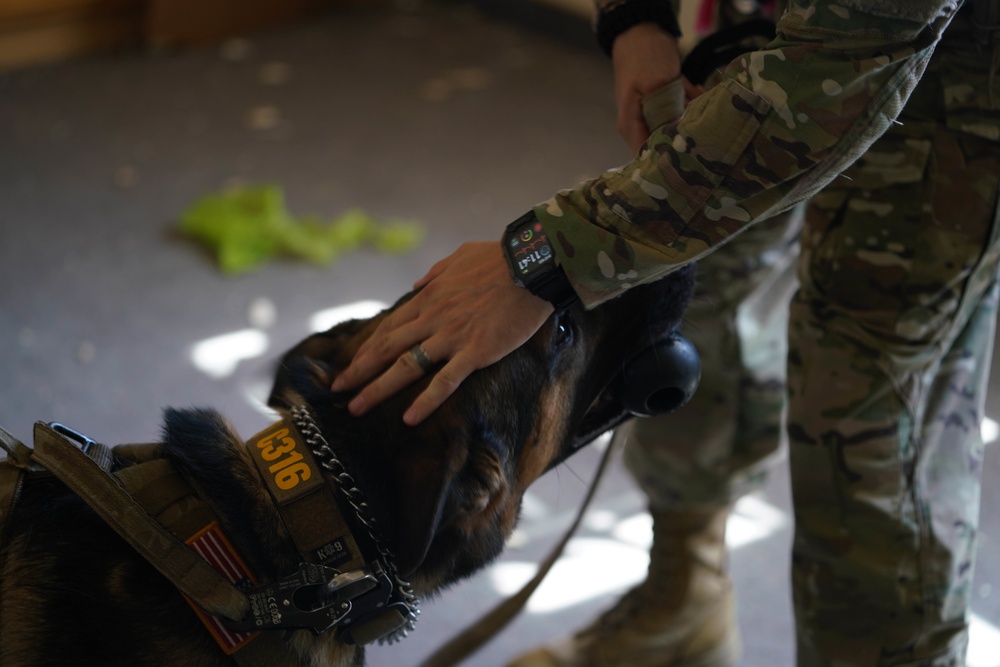 Creech and Nellis Security Forces Squadrons train with FBI