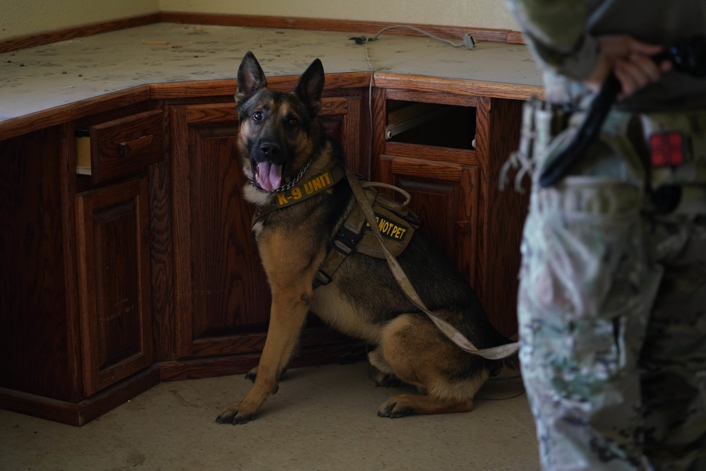 Creech and Nellis Security Forces Squadrons train with FBI