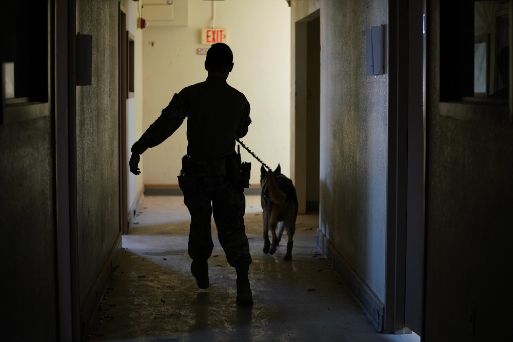 Creech and Nellis Security Forces Squadrons train with FBI