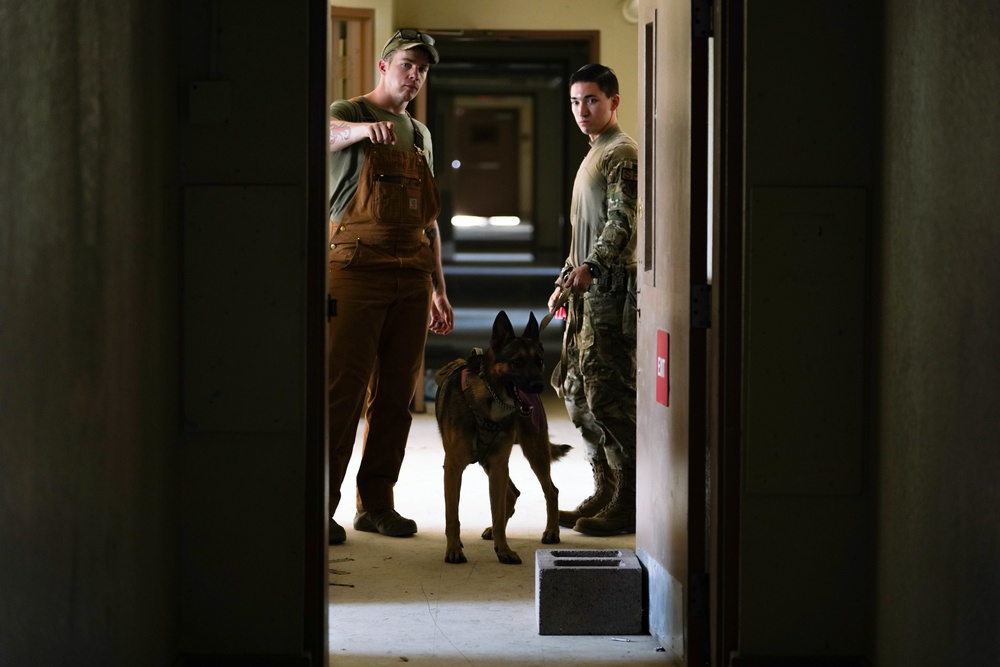 Creech and Nellis Security Forces Squadrons train with FBI