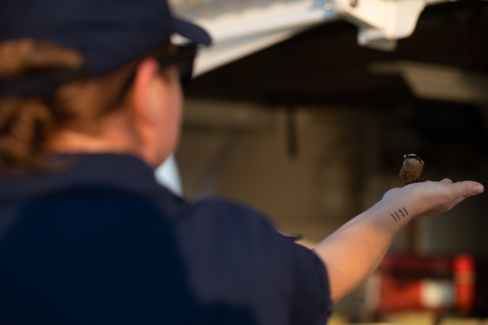 USCGC Bear (WMEC 901) Patrol