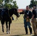 2022 National Cavalry Competition Day 2