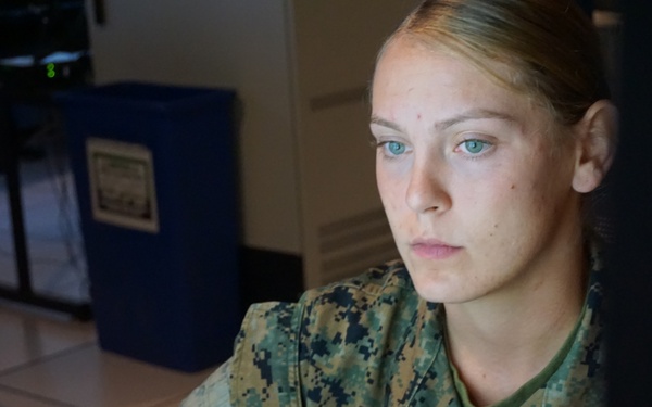 Joint warfighters train in LVC environment prioritizing agility and sustained C2 capes