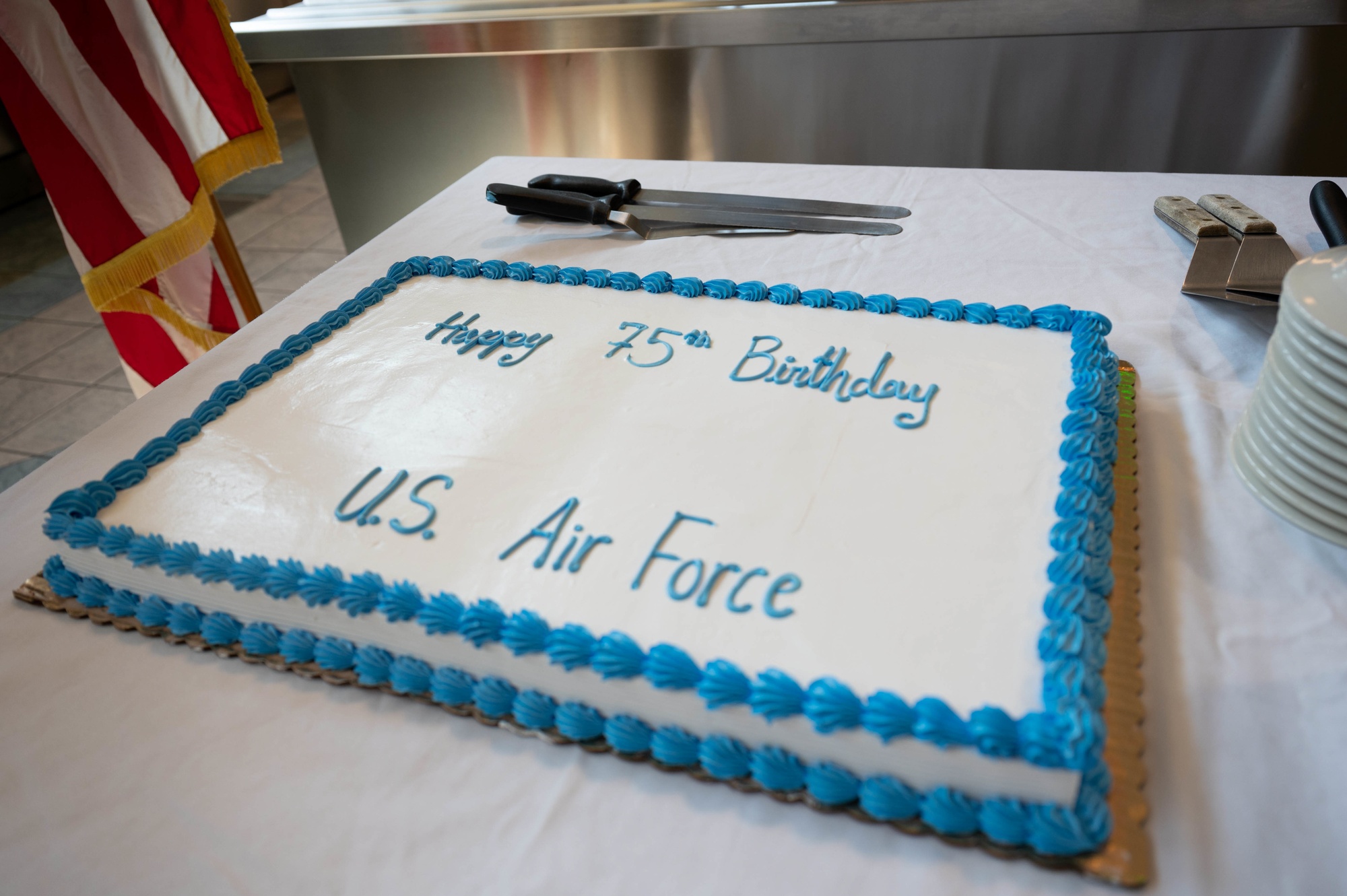 Military-U.S. Air Force Emblem Edible Image Layon #49286 Sheet – Tiffany's  Bakery