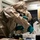 55th Civil Support Team responds to training event