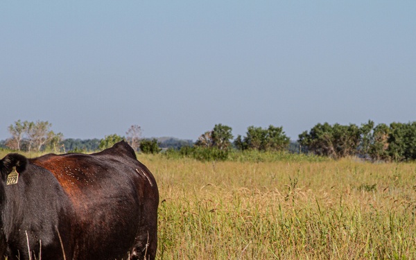 220809-11 COL Van Epps vist to NWK