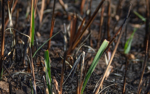 220809-11 COL Van Epps visit to NWK