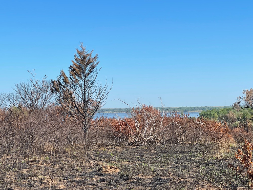 Prescribed fire site at Kanopolis Lake