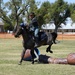 2022 National Cavalry Competition Day 3