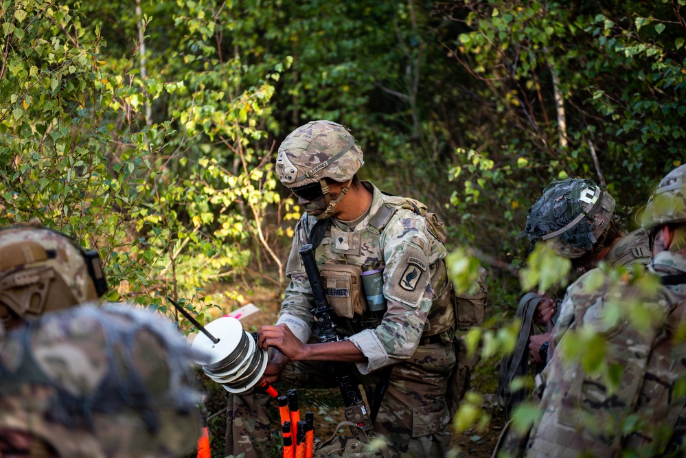 173rd Airborne Brigade CALFEX