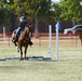 2022 National Cavalry Competition Day 4