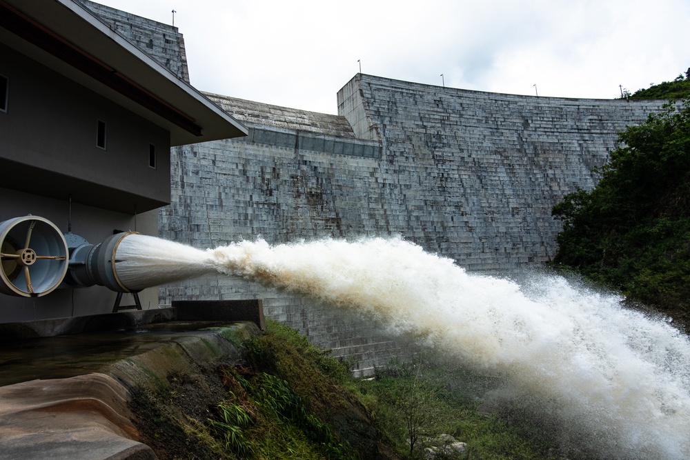 Portugués Dam-: Defender for a Decade