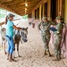 Equine task force that visited military installations across the United States