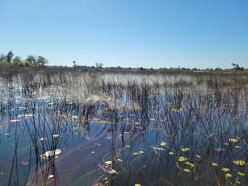 ERDC researcher joins State Department delegation to Botswana