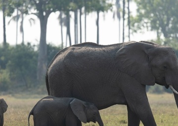 ERDC researcher joins State Department delegation to Botswana