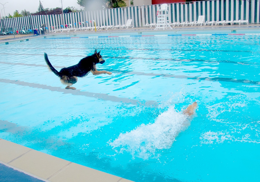 Splashing into fall