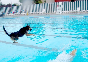 Splashing into fall