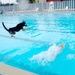 Splashing into fall