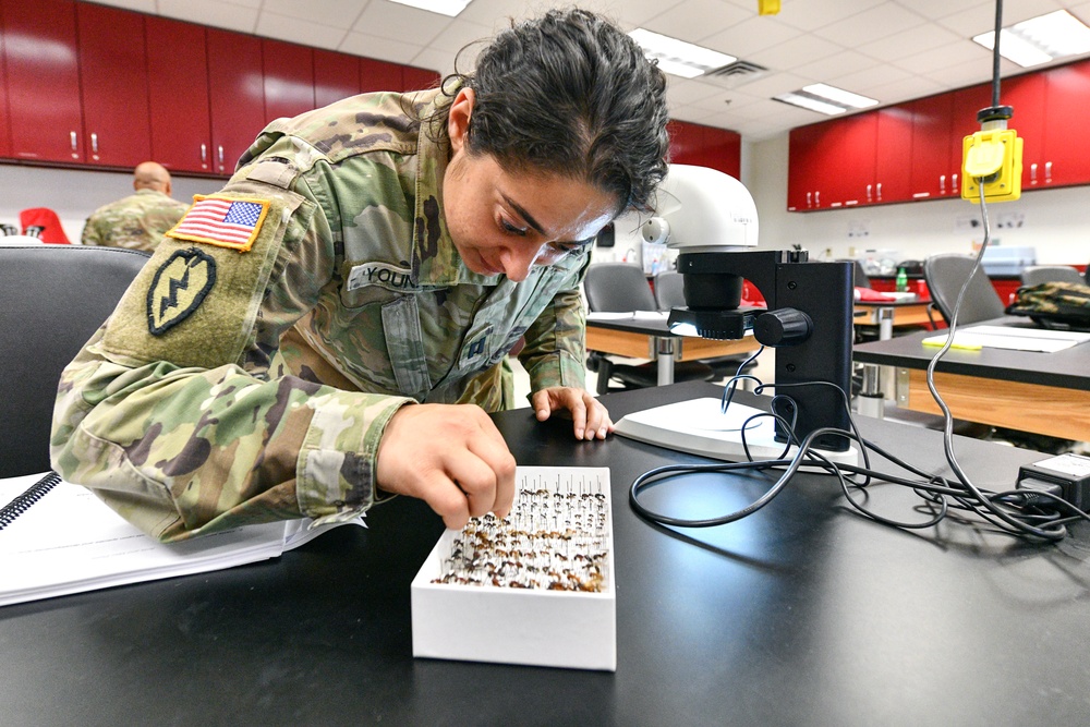 Students learn how to manage and prevent pests at MEDCoE course