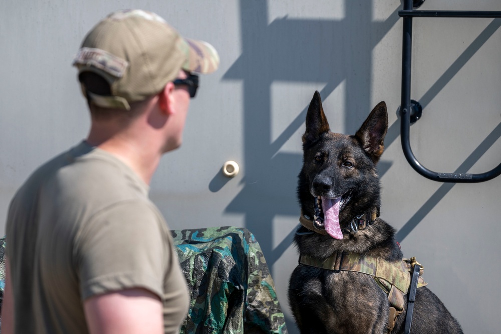 4th SFS, TSA conduct K-9 training exercise