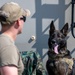 4th SFS, TSA conduct K-9 training exercise