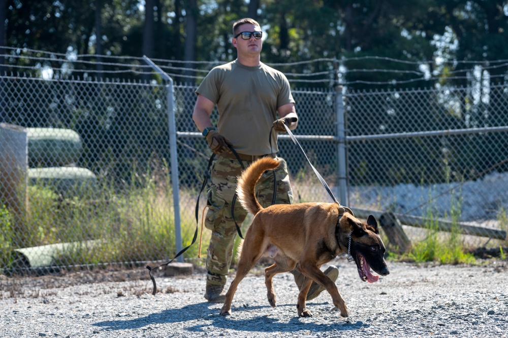 4th SFS, TSA conduct K-9 training exercise