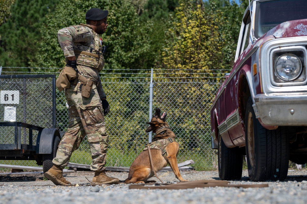 4th SFS, TSA conduct K-9 training exercise