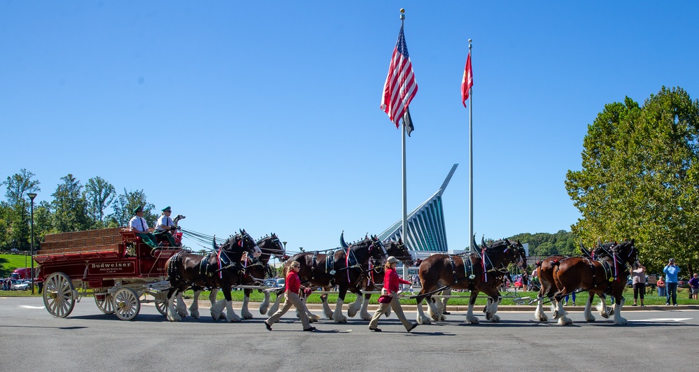 World-Renowned Budweiser Clydesdales visit the National Museum of the Marine Corps