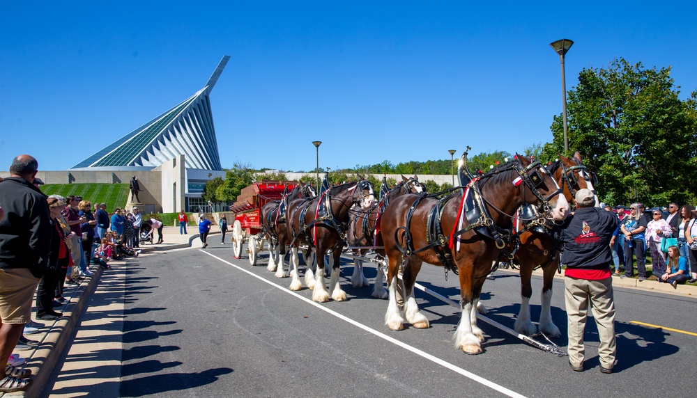 World-Renowned Budweiser Clydesdales visit the National Museum of the Marine Corps