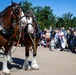 World-Renowned Budweiser Clydesdales visit the National Museum of the Marine Corps