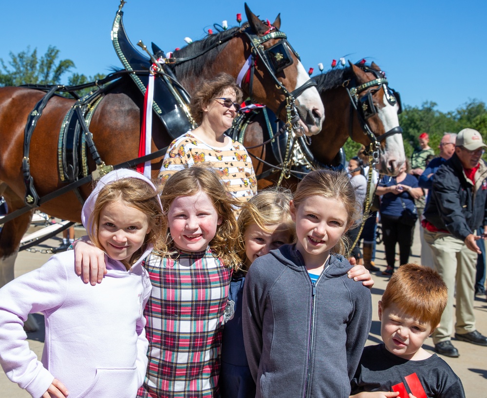 World-Renowned Budweiser Clydesdales visit the National Museum of the Marine Corps