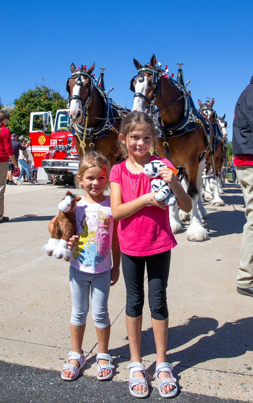 World-Renowned Budweiser Clydesdales visit the National Museum of the Marine Corps