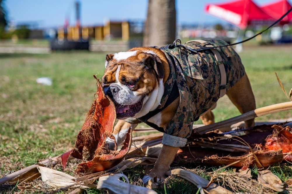 Manny Monday- ATLAS Games