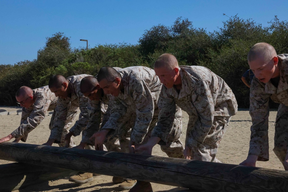 Mike company log drills