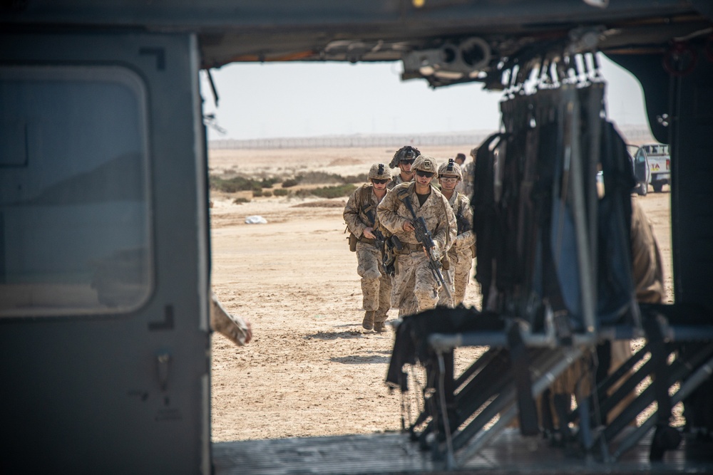 Intrepid Maven 22.4: On/Off Drills