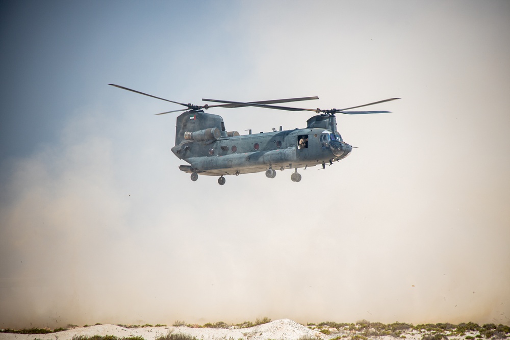 Intrepid Maven 22.4: On/Off Drills