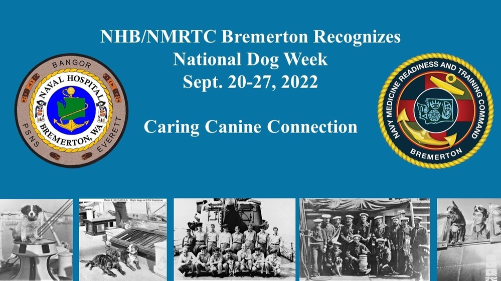 Canine Care Connection at Naval Hospital Bremerton