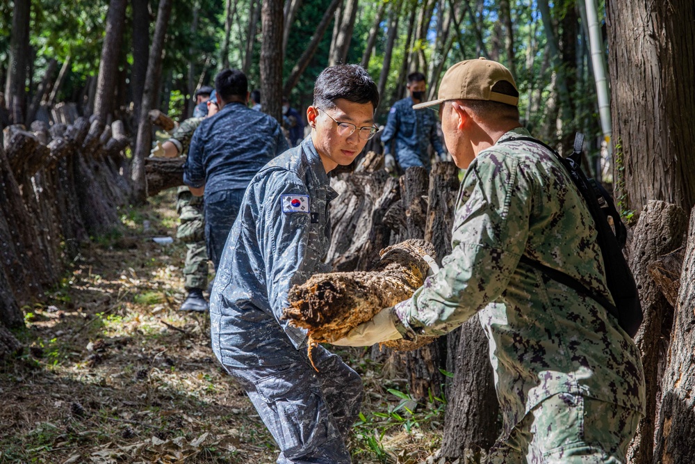 US Navy and Republic of Korea Sailors Conduct Community Relations