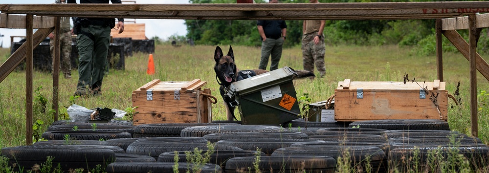 736 SFS hosts MWD Immersion Course with Guam Agencies