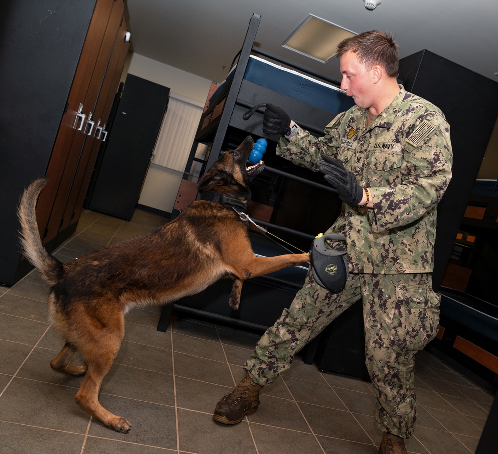 736 SFS hosts MWD Immersion Course with Guam Agencies