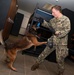 736 SFS hosts MWD Immersion Course with Guam Agencies