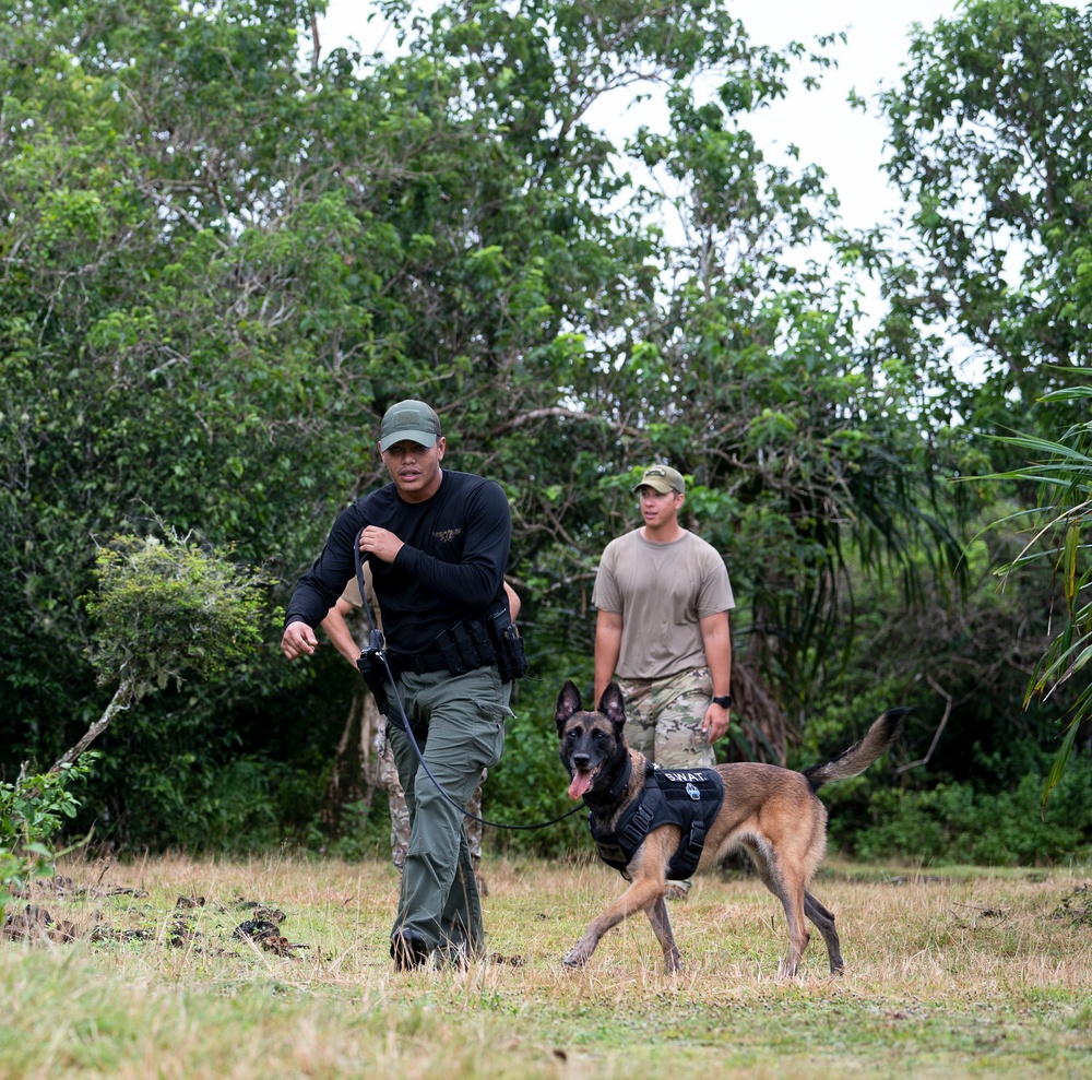 736 SFS hosts MWD Immersion Course with Guam Agencies